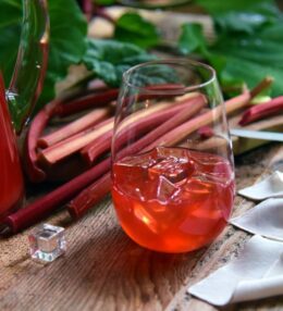 Rabarberu ledus tēja