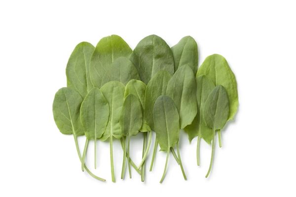 Broadleaved - platlapu skābenes
