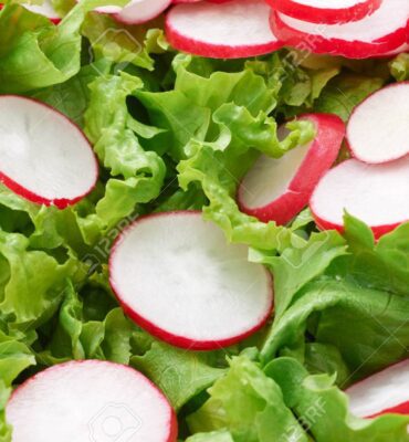 redīsi ar salātlapām