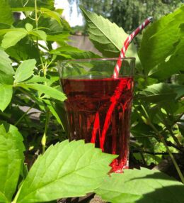 Viegli gāzēts dzēriens ar sīrupu