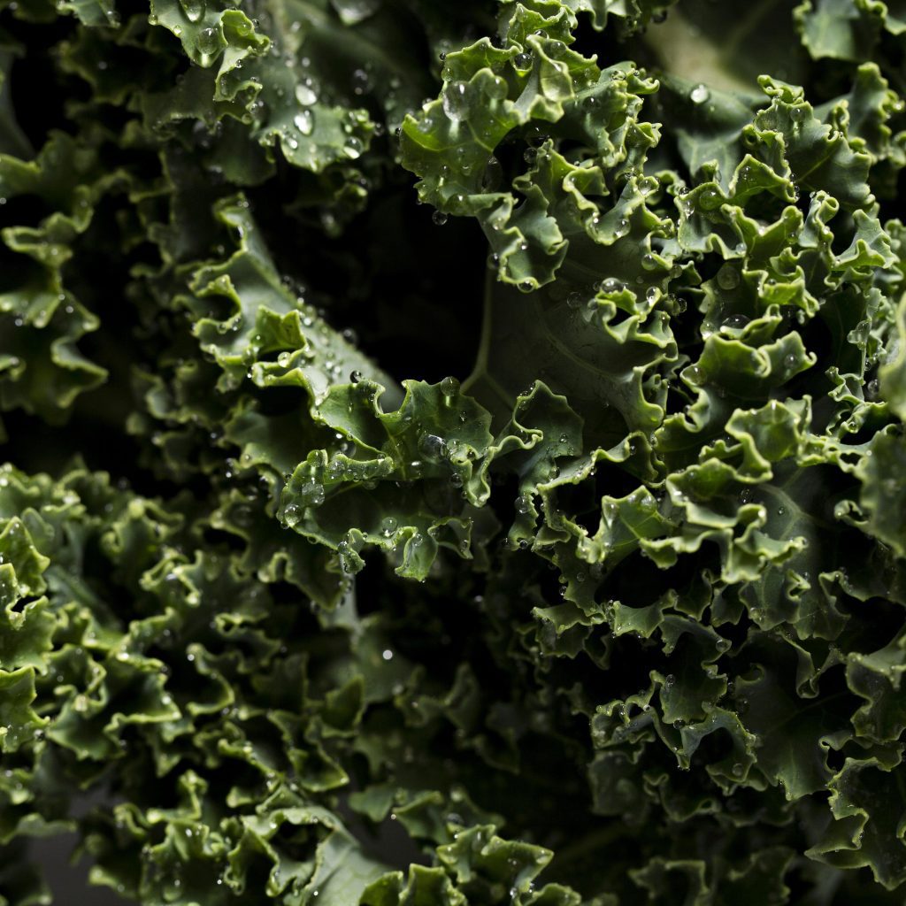 Kale - Oktobra svētku ēdiena kalendārs.