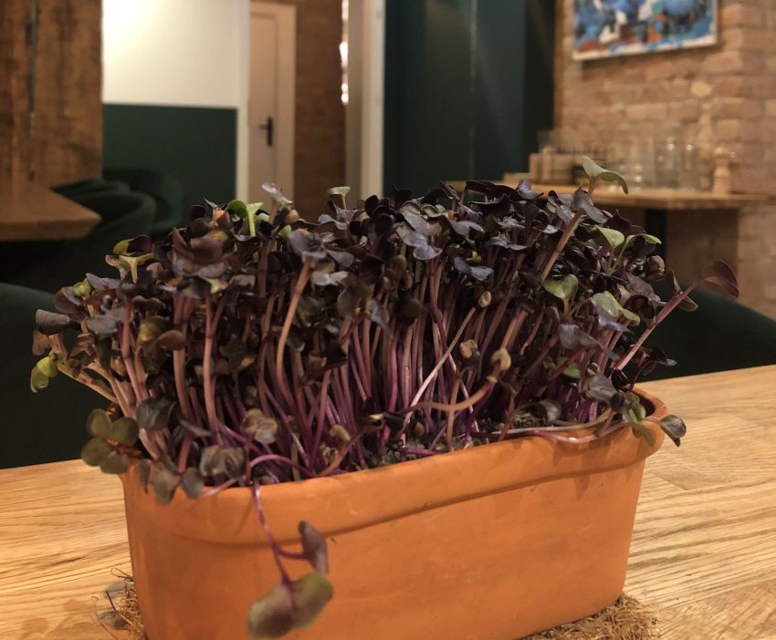 Ēdamie dekori restorānā The Botanist