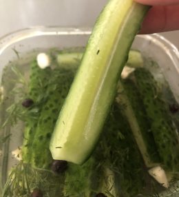 Kraukšķīgie gurķi